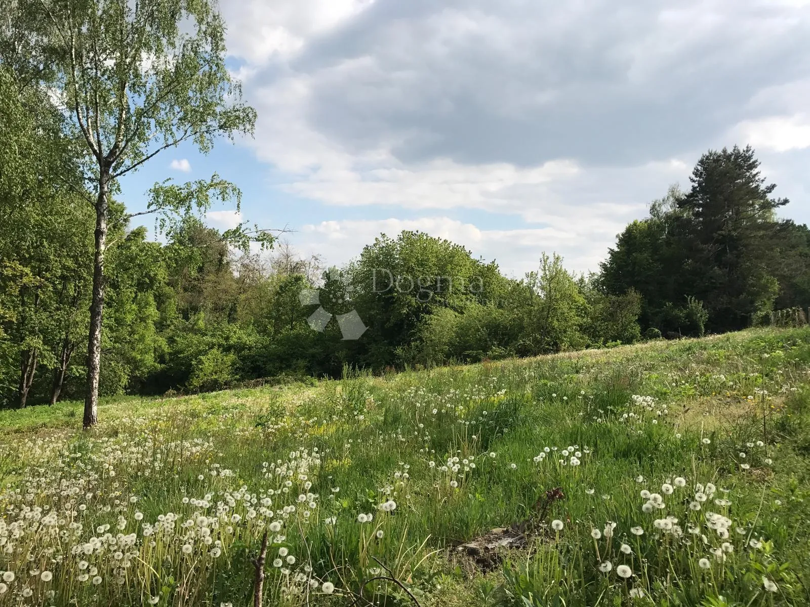 Zemljište na zelenoj Bilogori s potencijalom za vaš projekt - cover