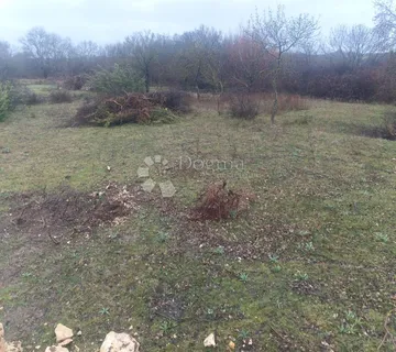 Ekskluzivna prilika-Briševo kraj Zadra - cover