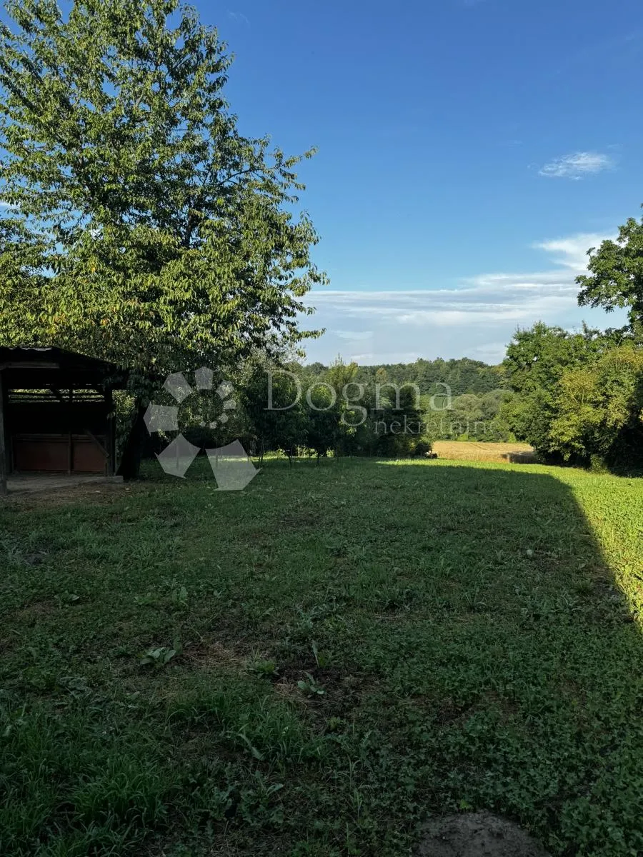 Fotografija
