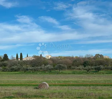 MRGANI – PRILIKA!!! Izvrsna izdvojena parcela u fantastičnom okruženju - cover