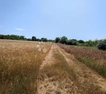 Marčana, građevinsko zemljište za stambenu gradju - cover