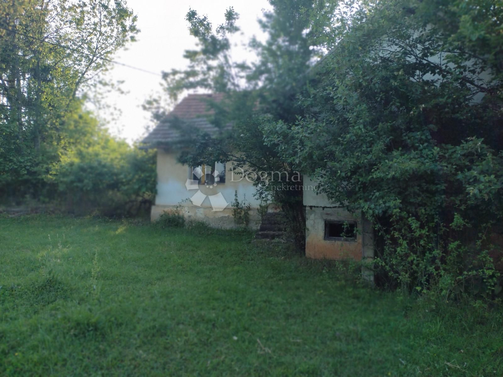 Fotografija