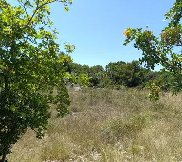 DRAGE - PAKOŠTANE - GRAĐEVINSKO ZEMLJIŠTE 445M2  - cover