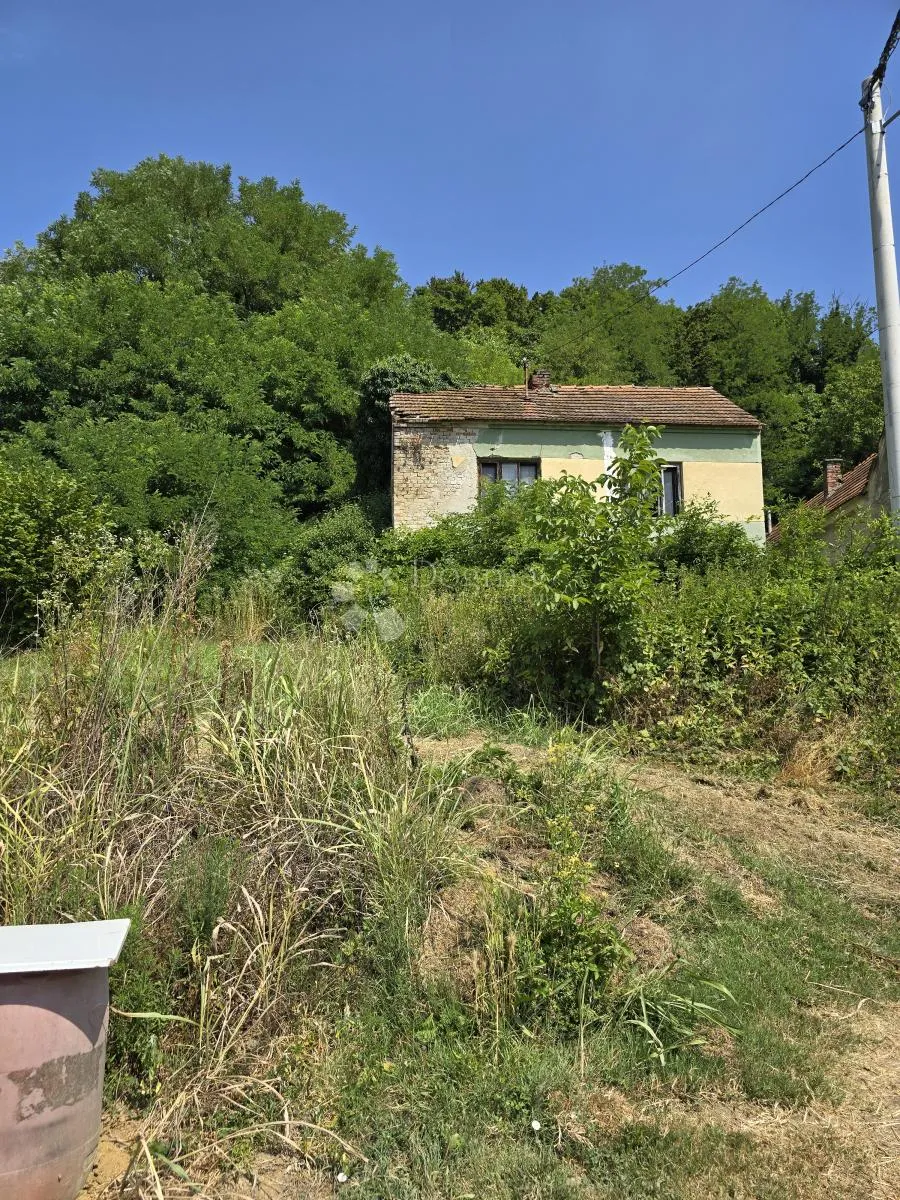 Fotografija