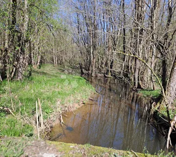 16 Ha netaknute prirode - cover