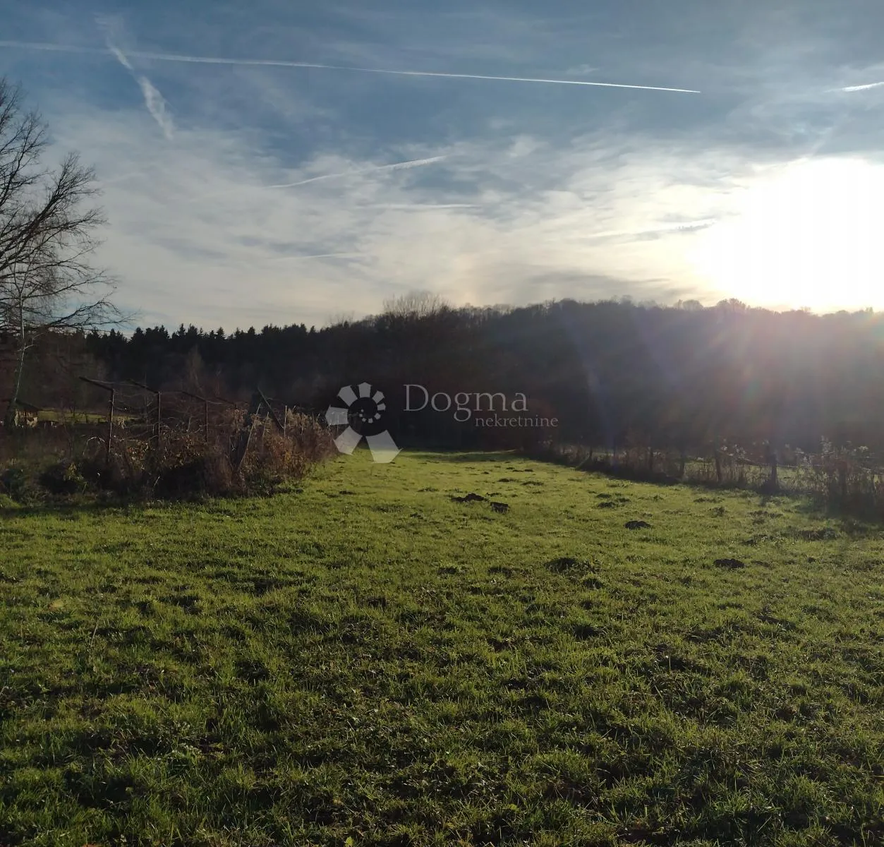 Fotografija