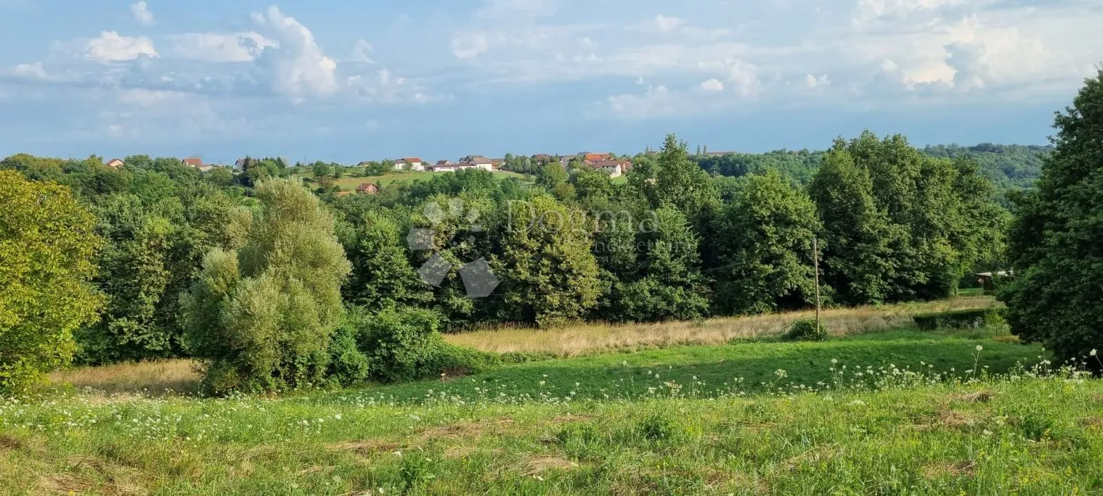 Fotografija