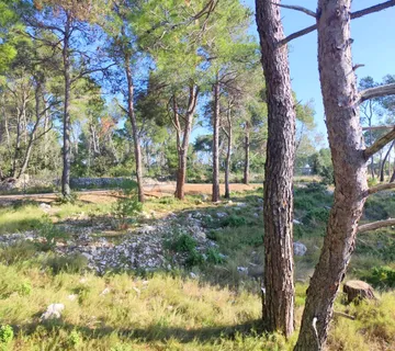 POLJOPRIVREDNO ZEMLJIŠTE PRVI RED UZ MORE, MILNA - cover