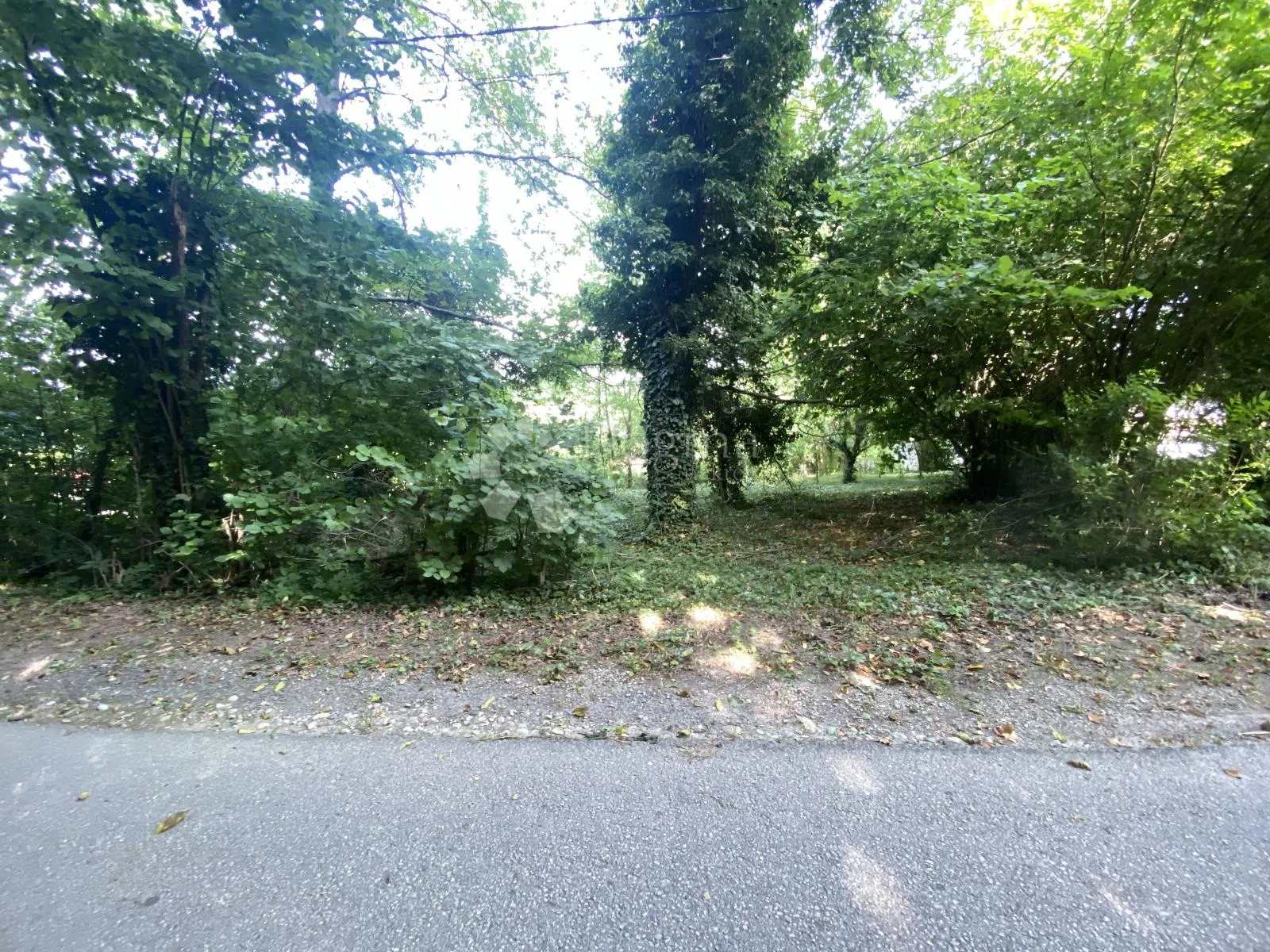 Fotografija