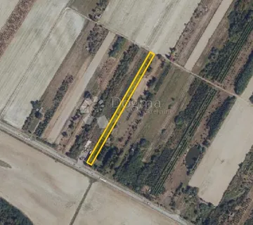 Savršena prilika: poljoprivredno zemljište uz glavnu cestu Osijek – Valpovo - cover