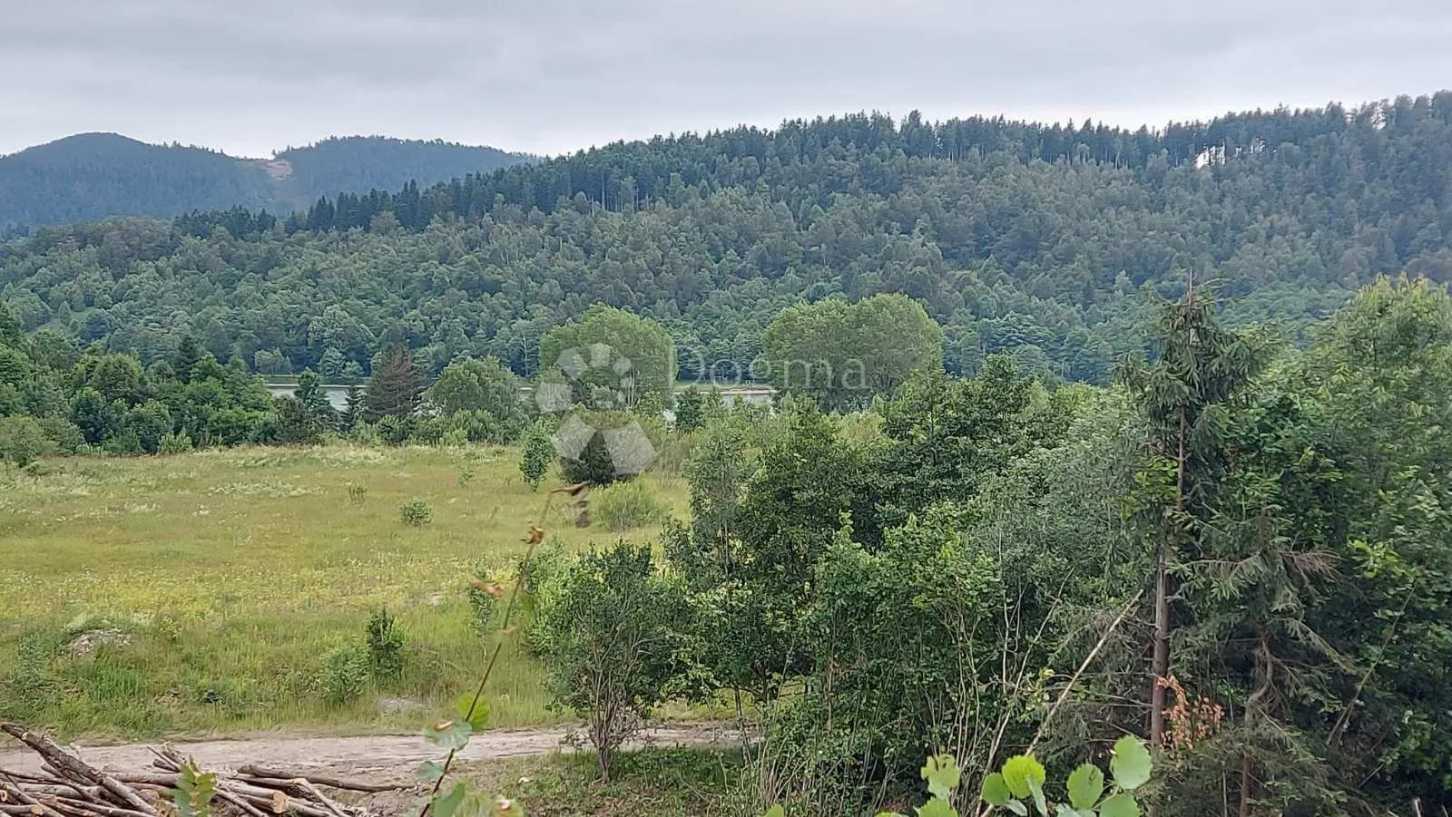 Fotografija