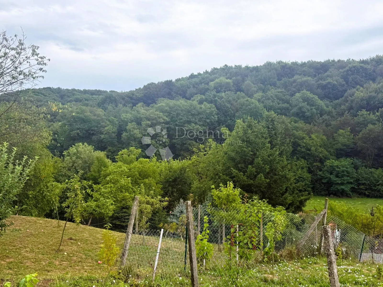 Fotografija