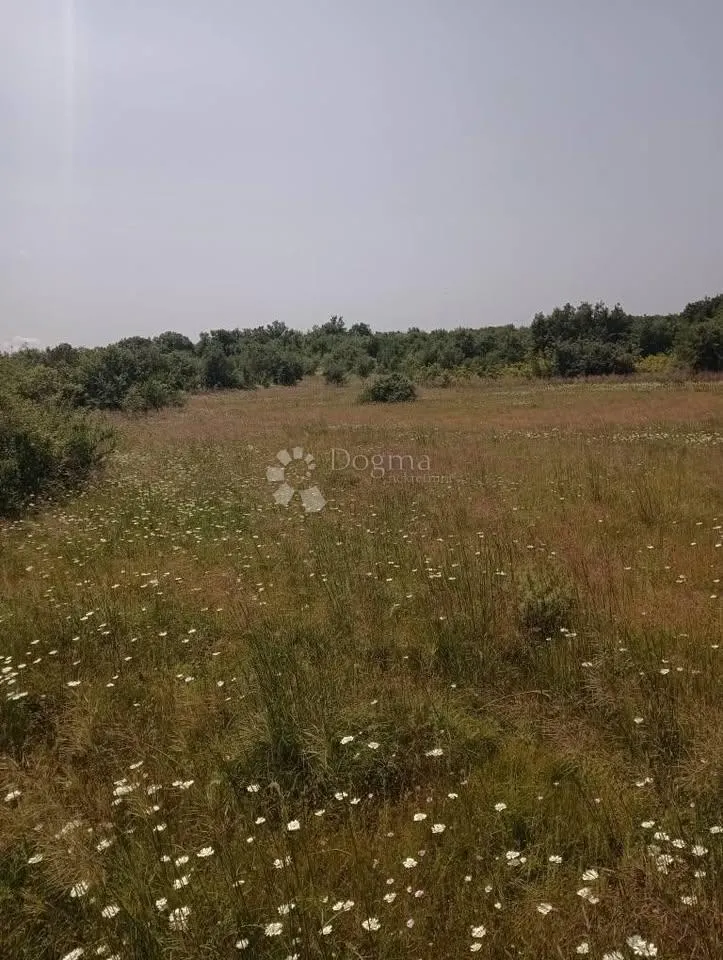 Fotografija