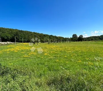 Građevinsko zemljište pod šumom sunčana strana Mušaluk - cover