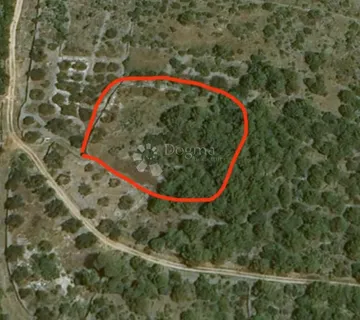 Poljoprivredno zemljište Marina - cover