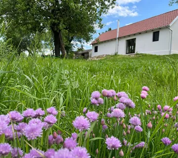 Turistički potencijal: dvije kuće, priroda, šuma - cover