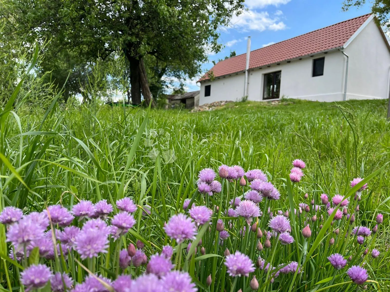 Fotografija