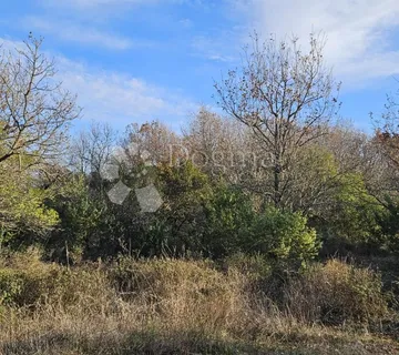 Poljoprivredno zemljište na odličnoj lokaciji - 2805 m² - cover