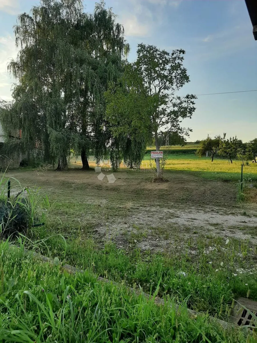 Fotografija