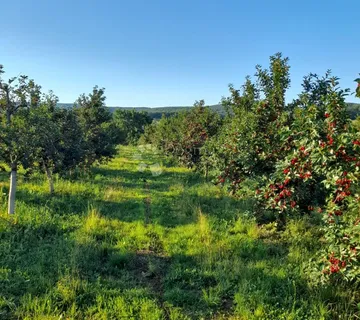 KUTJEVO - PREKRASAN VOČNJAK  SAMO U NAŠOJ PONUDI - cover