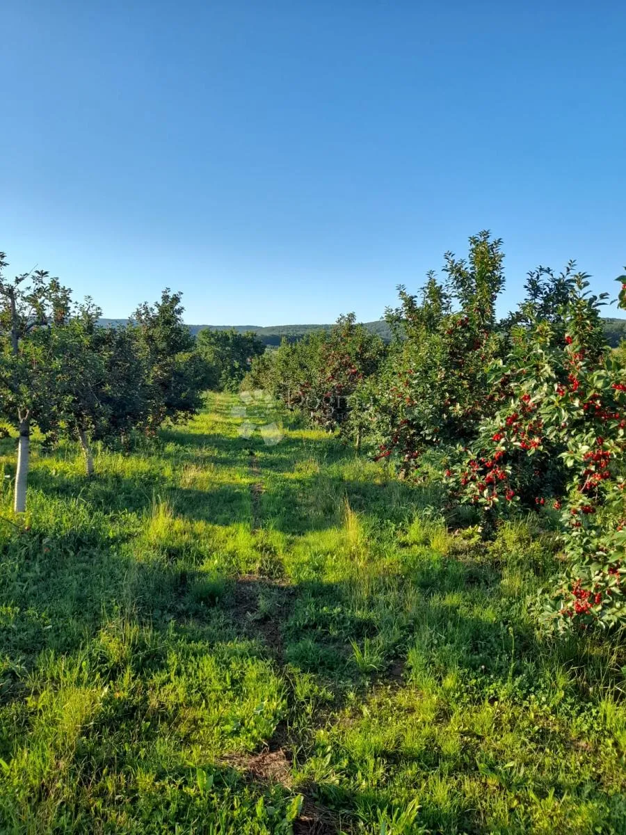KUTJEVO - PREKRASAN VOČNJAK  SAMO U NAŠOJ PONUDI - cover