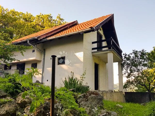 Fotografija