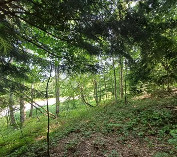 PRILIKA! Gradjevinsko zemljište s crnogoričnom šumom i pogledom na dolinu - Kupjak - cover