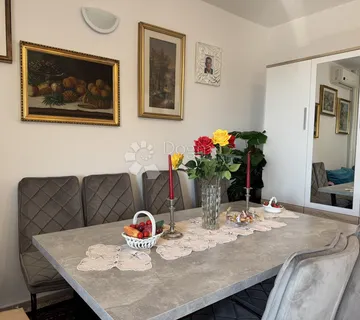 Studentski stan  - cover