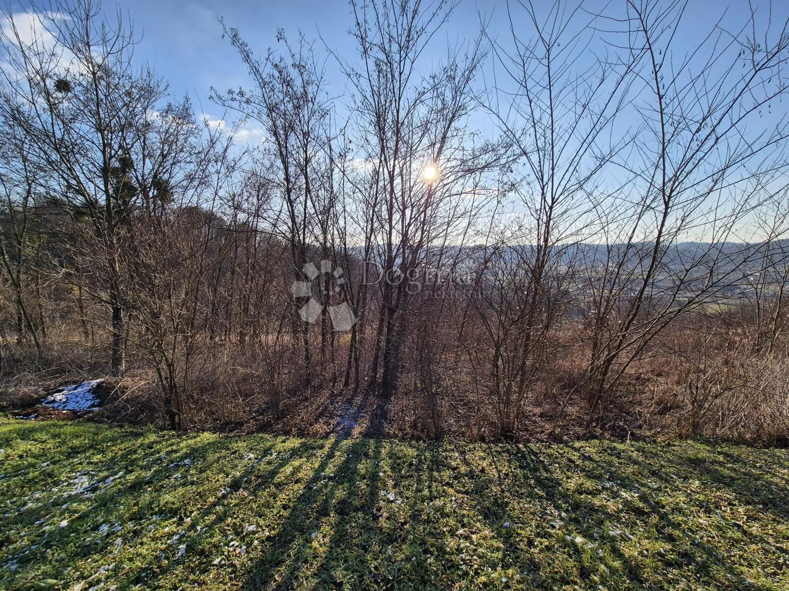 Fotografija