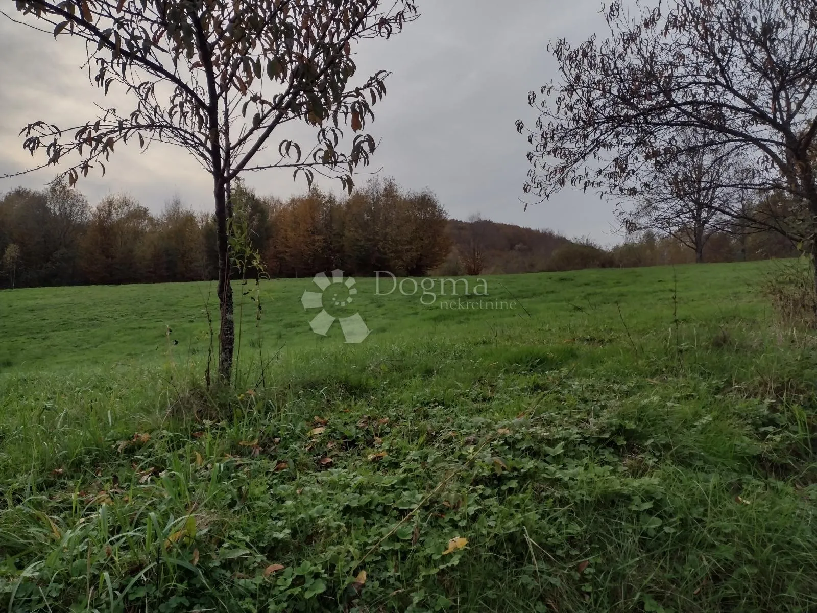 16 Ha netaknute prirode - cover