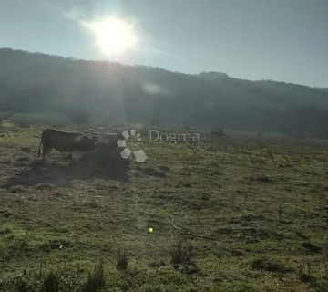 Uctrana kuća, izuzetno velika površina - cover