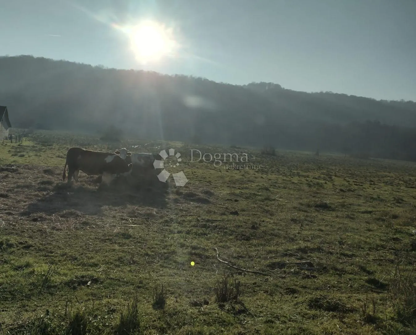 Uctrana kuća, izuzetno velika površina - cover