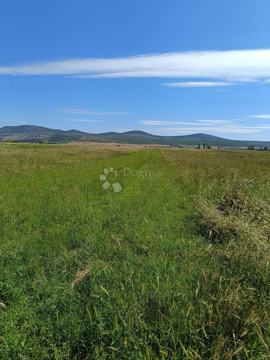 Fotografija