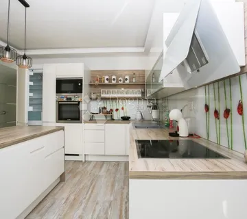 PREDIVAN STAN ZA NAJAM - KOSTRENA - cover