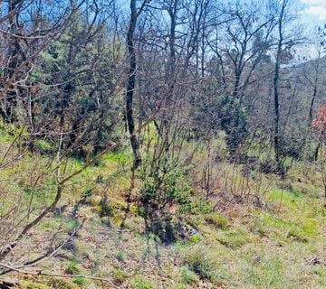 POLJOPRIVREDNO ZEMLJIŠTE – 7.399 m² – KALAC,PRODAJA! - cover