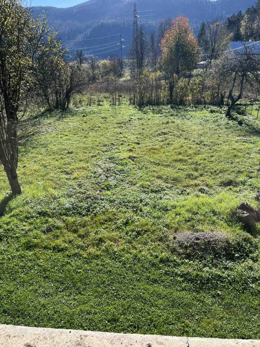 Fotografija
