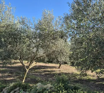 Građevinsko zemljište nedaleko Duge Uvale površine 493 m2 - cover