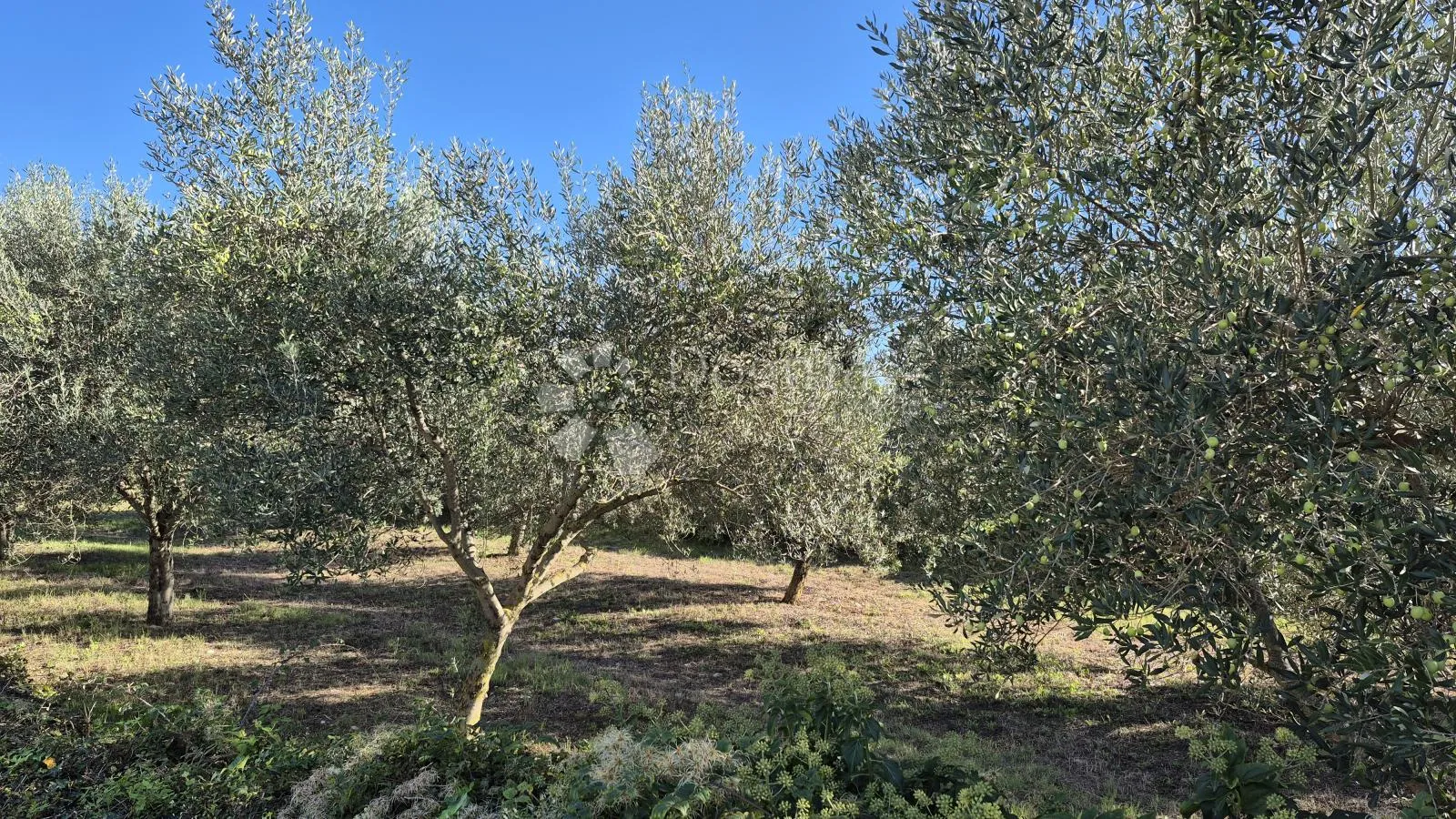 Građevinsko zemljište nedaleko Duge Uvale površine 493 m2 - cover