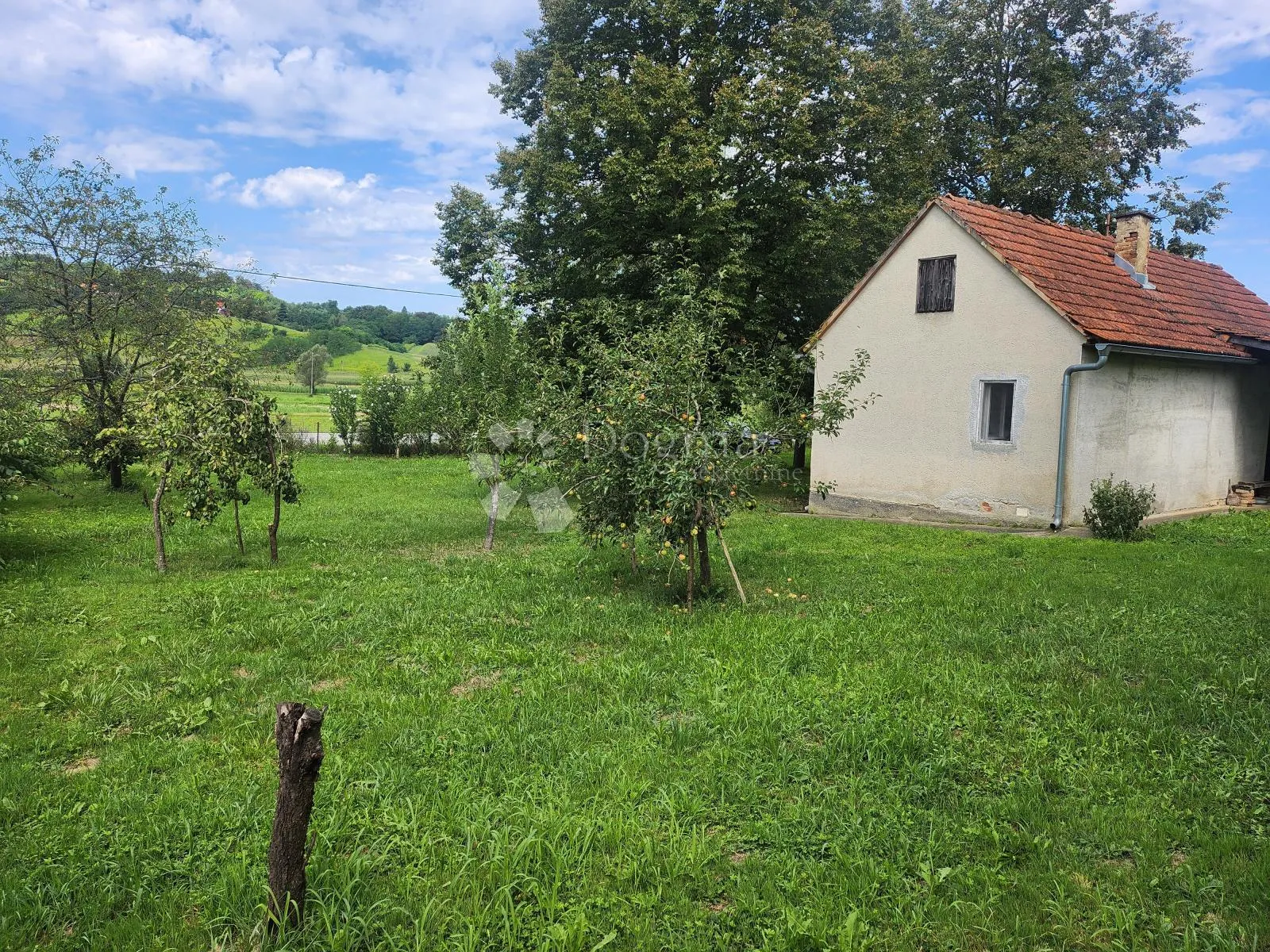 Fotografija