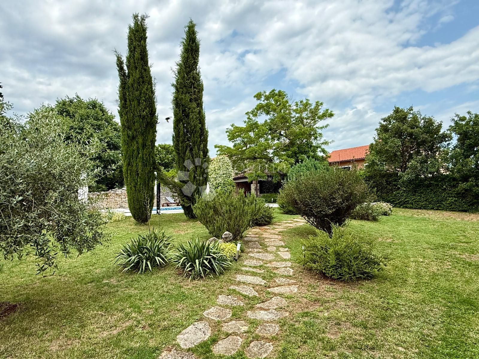 Fotografija