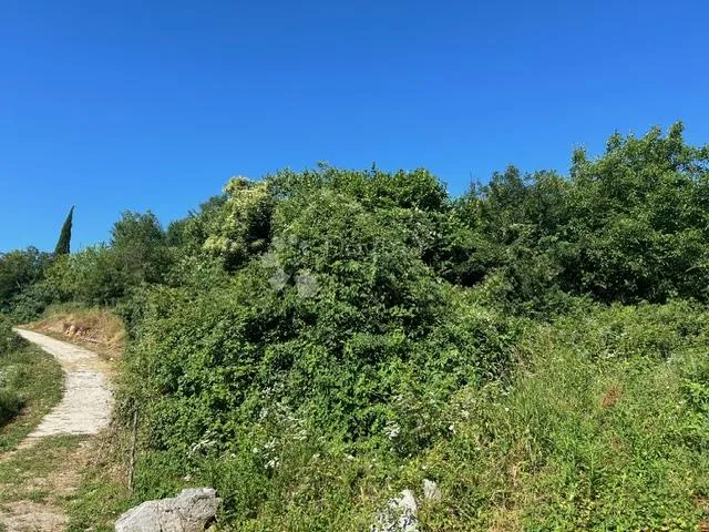 Fotografija