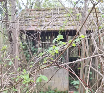 Sniženo!!!Velika kvadratura i 2kuće u napuštenom selu - cover