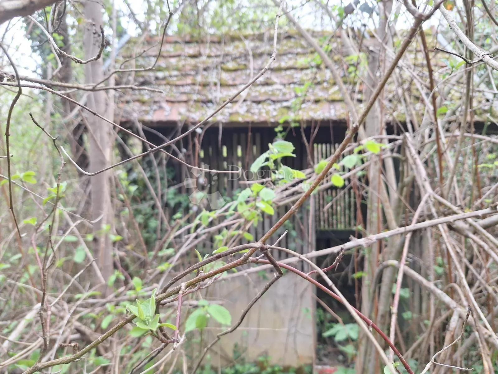 Sniženo!!!Velika kvadratura i 2kuće u napuštenom selu - cover