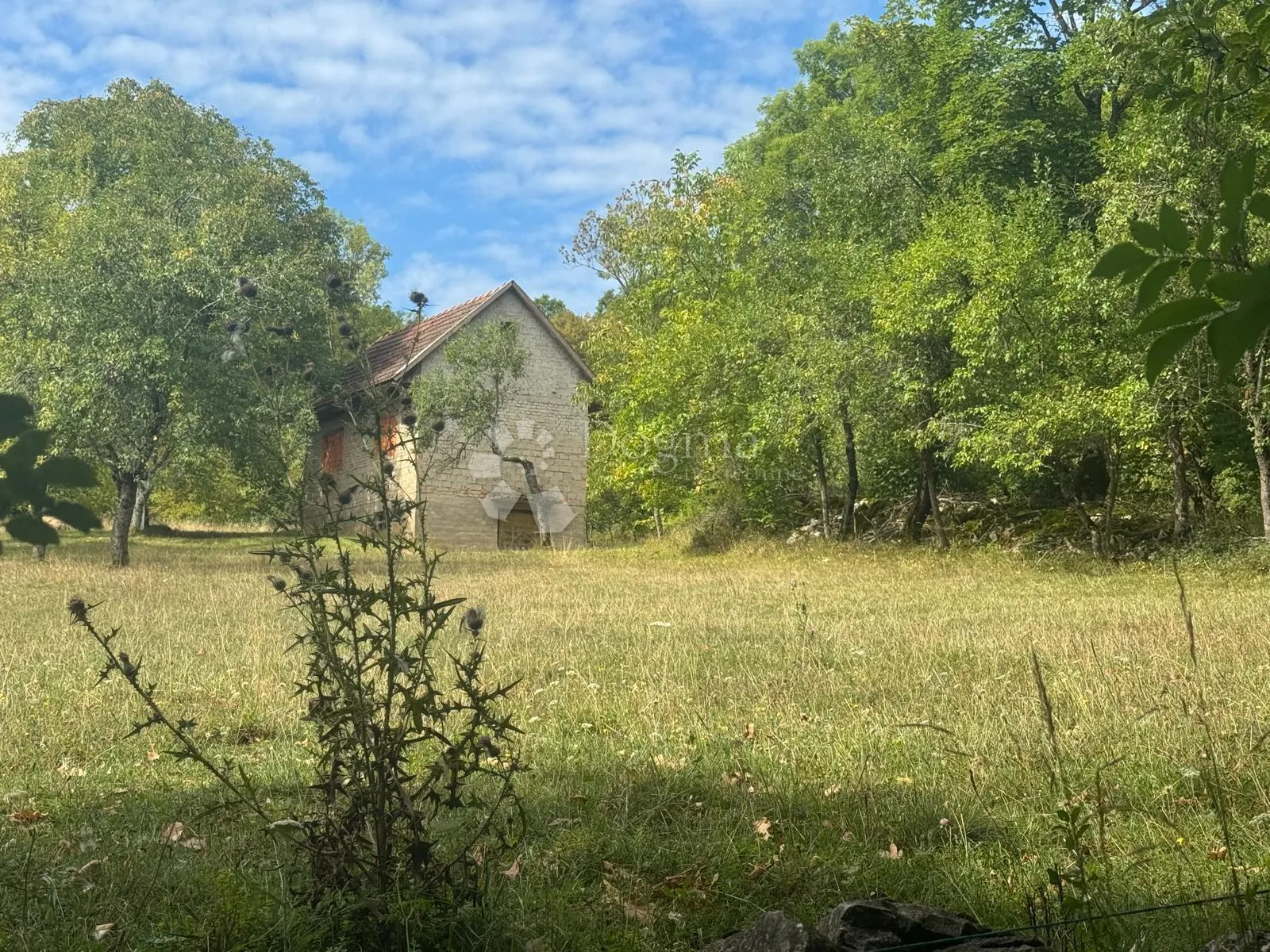 Fotografija