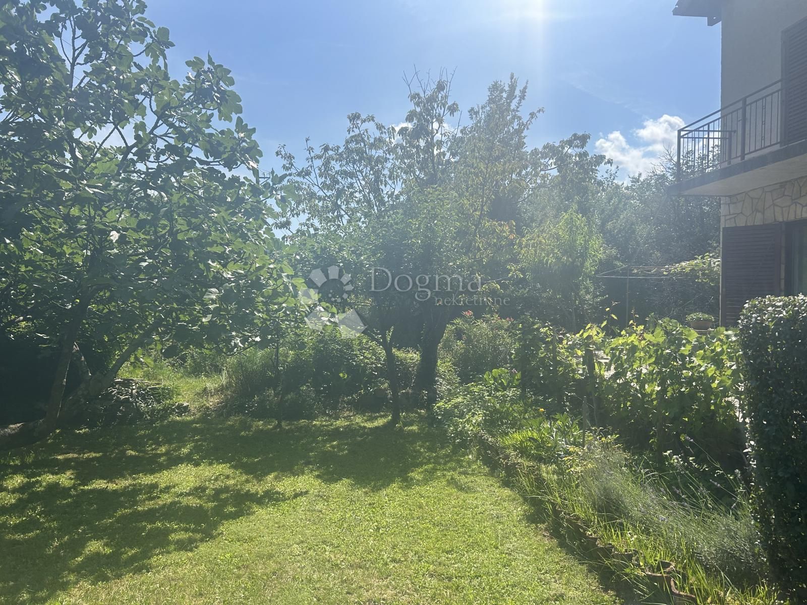 Fotografija