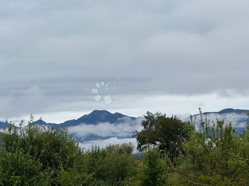 Fotografija