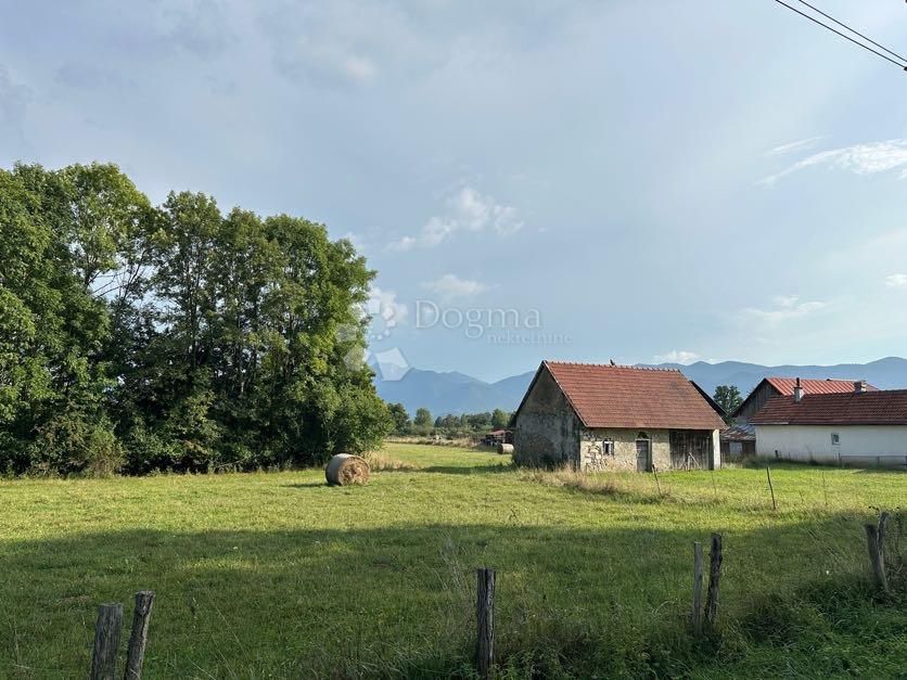 Fotografija