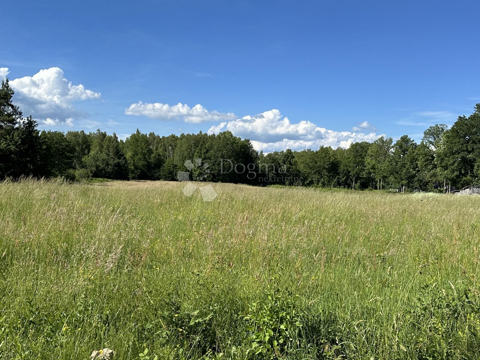 Fotografija