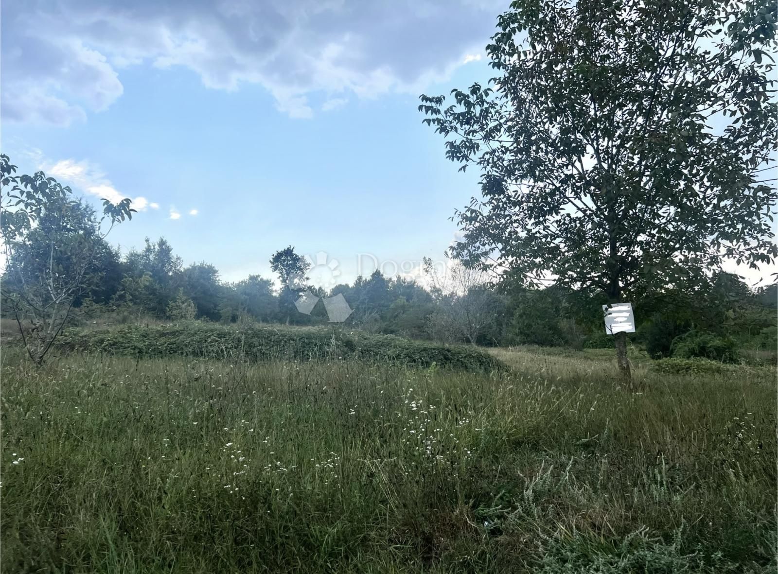Fotografija