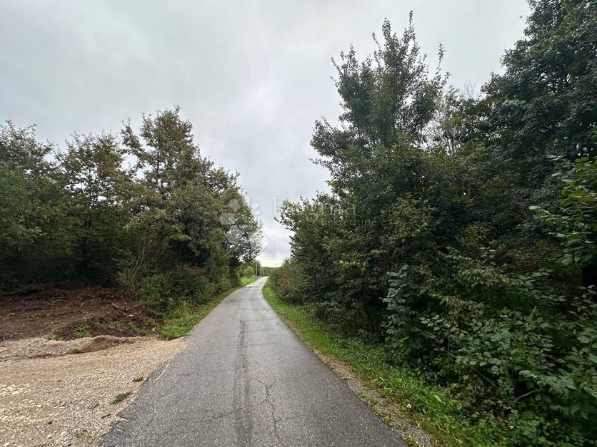 Fotografija